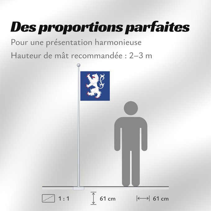 Proportions du drapeau : Hallands län vapenflagga Halland County in Sweden Halland Hallands läns vapenflagga
