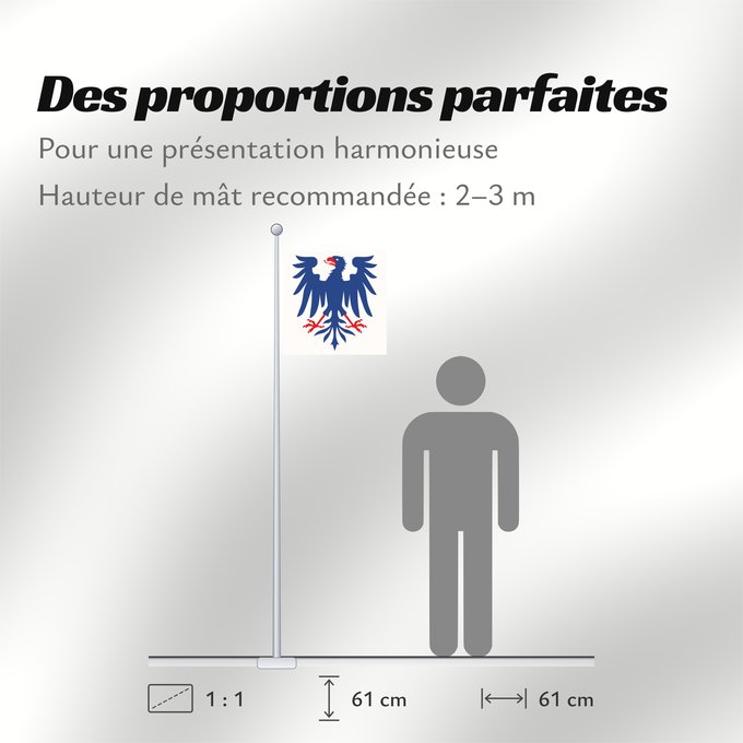 Proportions du drapeau : Värmlands län