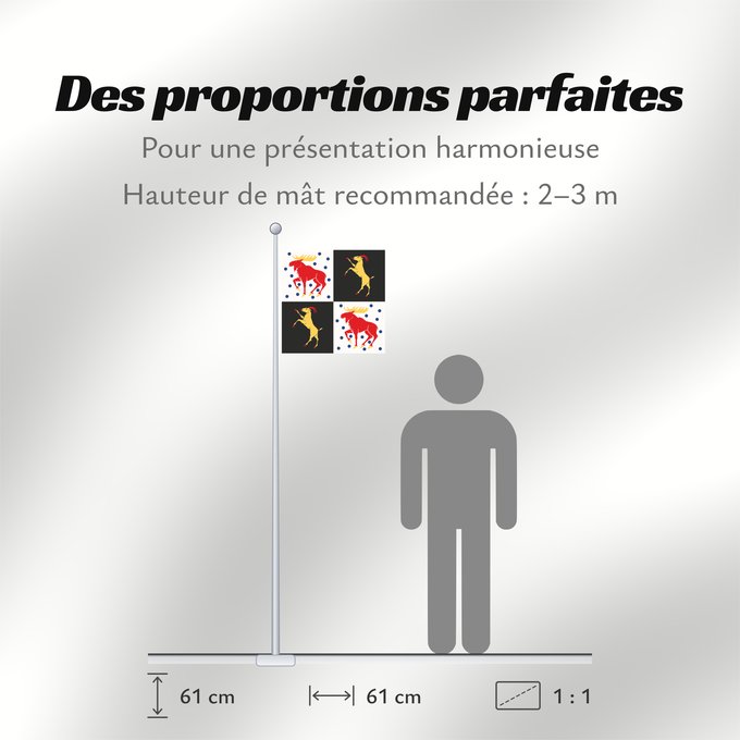 Proportions du drapeau : Gävleborgs län vapenflagga	Gävleborg County in Sweden	comté de Gävleborg	Gävleborg	Gävleborgs län	Gävleborg County	Gävleborgs läns vapenflagga