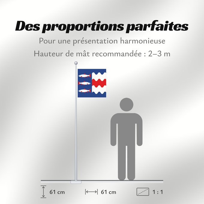 Proportions du drapeau : Västernorrlands län