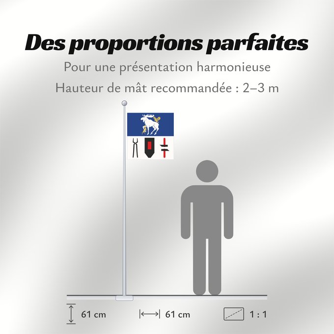 Proportions du drapeau : Jämtlands län
