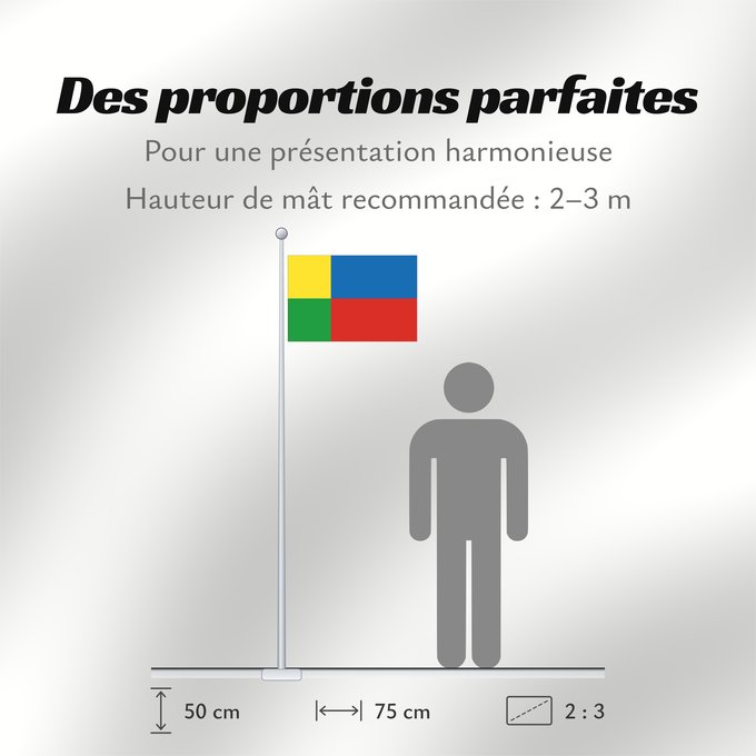 Proportions du drapeau : Zilinsky vlajka	Žilina Region	Région de Žilina	Región de Žilina	Žilina