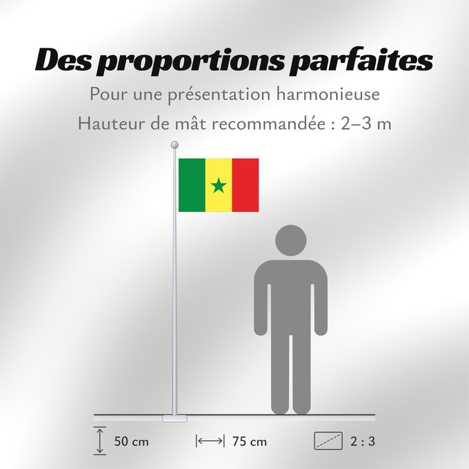 Proportions du drapeau : Senegal	Sénégal	Senegalo	پرچم سنگال	Senegala
