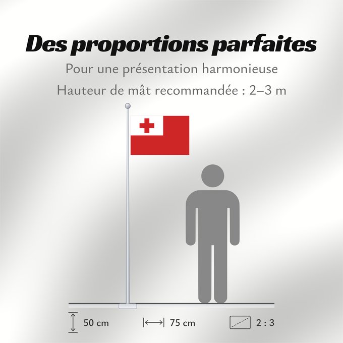 Proportions du drapeau : Tonga Thonga Brattagh ny Tongey Tonge Fuka ʻo Tonga