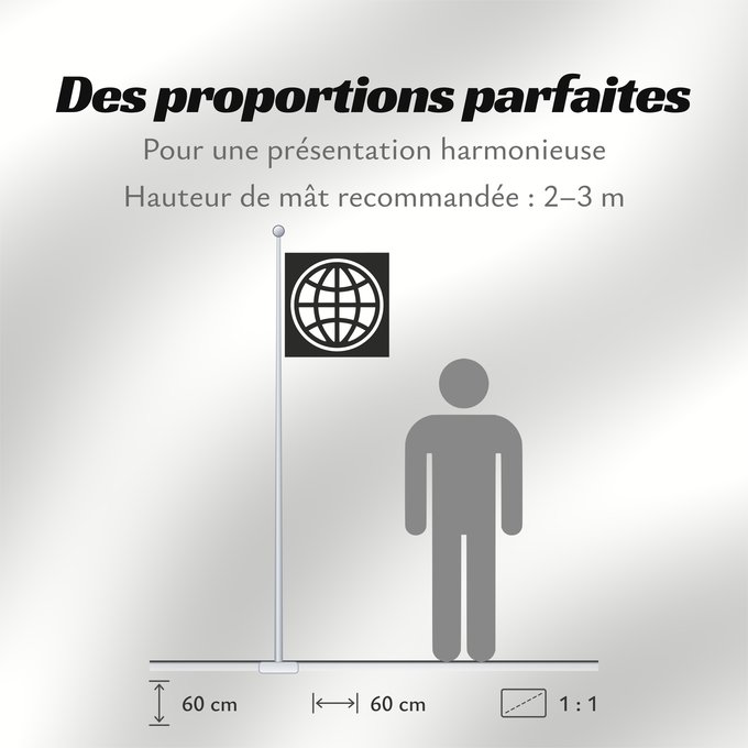 Proportions du drapeau : The World Bank Group
