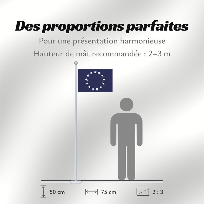 Proportions du drapeau : United States Foreign Service Officer	Flag of a United States Foreign Service Officer	The official flag for an officer of the United States Foreign Service