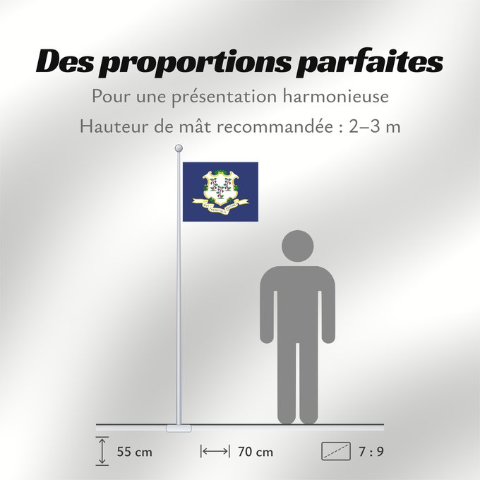 Proportions du drapeau : Connecticut ᎧᏁᏓᎦᏗ ᎦᏓᏘ Ka hae Konekikuka Connecticutae Kanédiki hahoodzo bidah naatʼaʼí Флаг Коннектикута Američke savezne države Konektikat