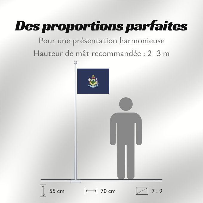 Proportions du drapeau : Maine