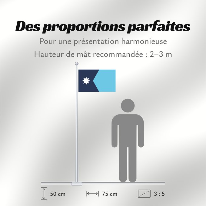 Proportions du drapeau : Minnesota Minnesota, since May 11, 2024