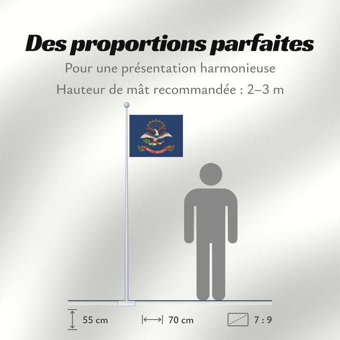 Proportions du drapeau : North Dakota Dakota du Nord Dakota del Norte North Dakotas Dakota del Nord ᏧᏴᏢ ᏓᎧᏓ ᎦᏓᏘ Ka hae Kakoka ‘Ākau Dacota Septentrionalis Nord-Dakotas flagg Náhookǫsjí Díkóodah Hahoodzo bidah naatʼaʼí Флаг Северной Дакоты Američke savezne države Severne Dakote Пр
