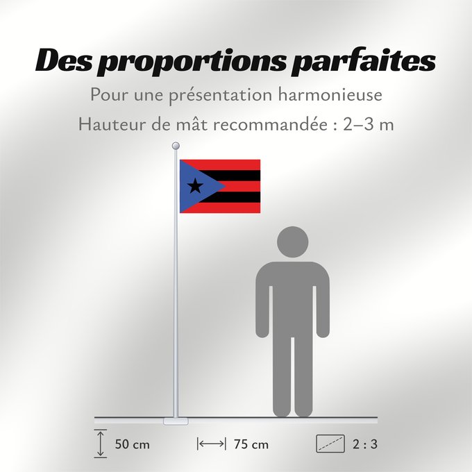 Proportions du drapeau : Puerto Rico