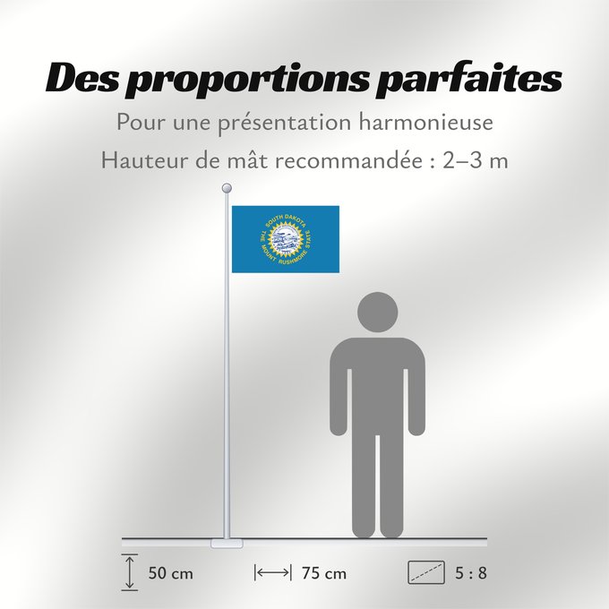 Proportions du drapeau : South Dakota Dakota du Sud Dakota del Sur Dakota del Sud ᏧᎦᎾᏮ ᏓᎧᏓ ᎦᏓᏘ Ka hae Kakoka Hema Dacota Meridionalis Shádiʼááhjí Dikóodah Hahoodzo bidah naatʼaʼí Флаг Южной Дакоты Američke savezne države Južne Dakote Прапор Південної Дакоти
