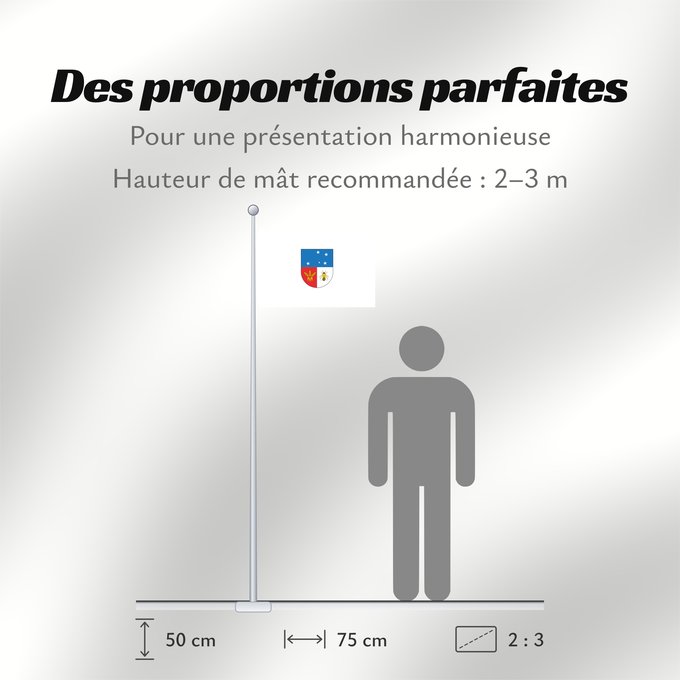 Proportions du drapeau : Colonia Department Colonia département de Colonia