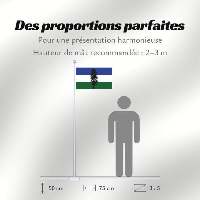 Proportions du drapeau : Cascadia