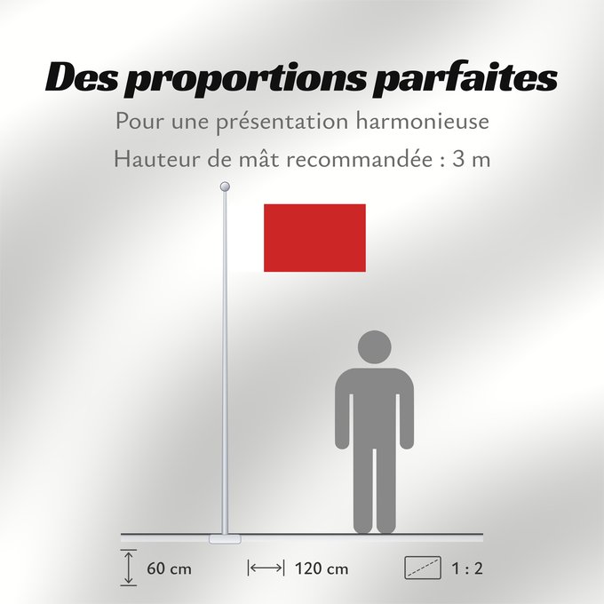 Proportions du drapeau : Ajman	D Ajman	Adschman	علم إمارة عجمان