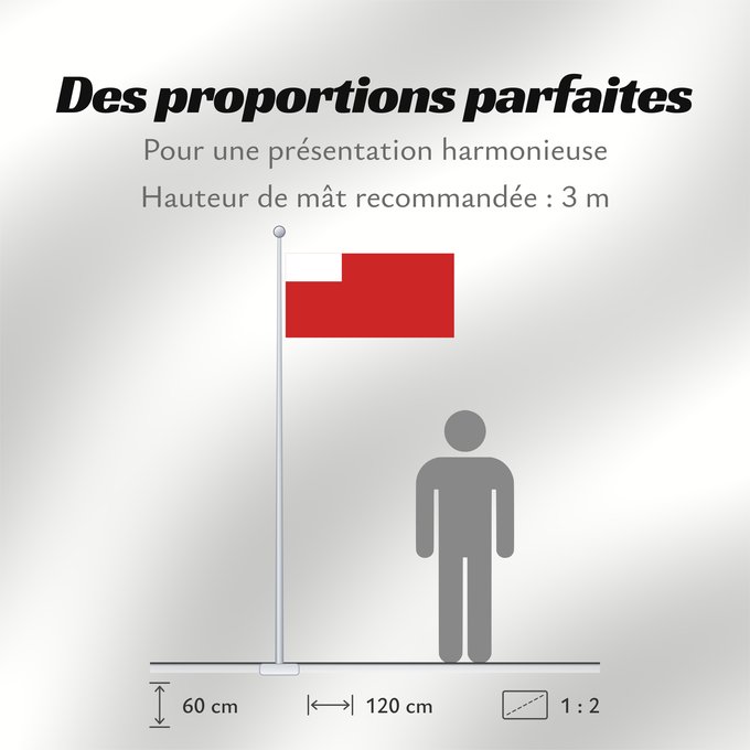 Proportions du drapeau : Abu Dhabi	D Abou Dabi	علم أبو ظبي	Abu Dabi	Прапор Абу-Дабі