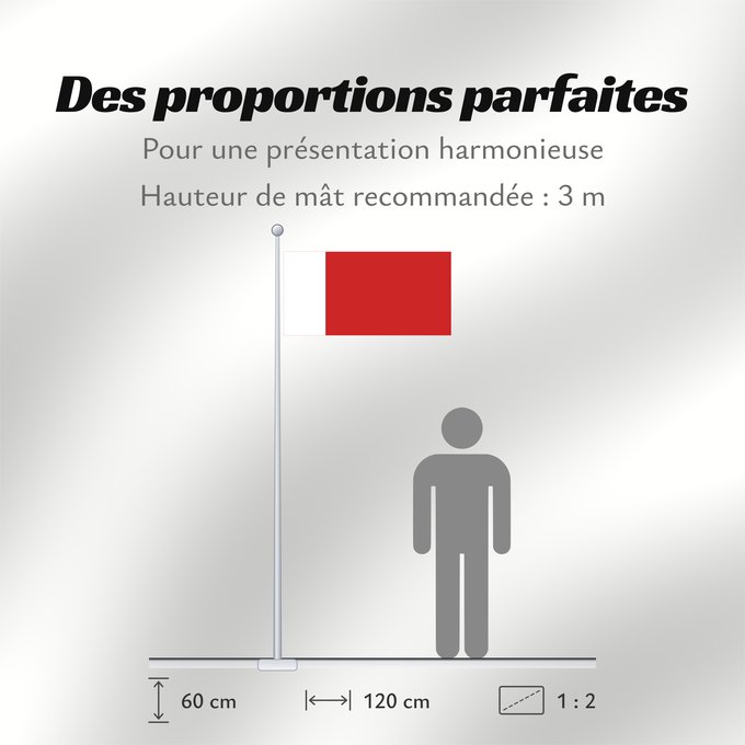 Proportions du drapeau : Dubai	Dubaï