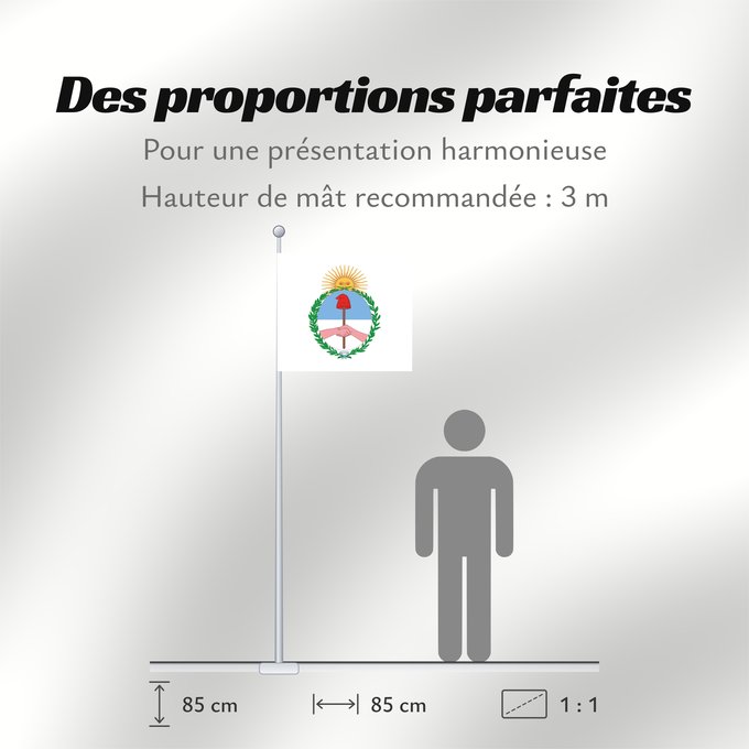 Proportions du drapeau : Provincia de Jujuy Jujuy Province province de Jujuy Jujuy (Provinz) Provincia di Jujuy