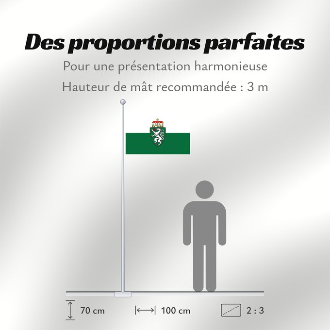 Proportions du drapeau : Styria	White-green. Colours of the state of Styria	Styrie	Estiria	Weiß-grün. Landesfarben der Steiermark	Stiria