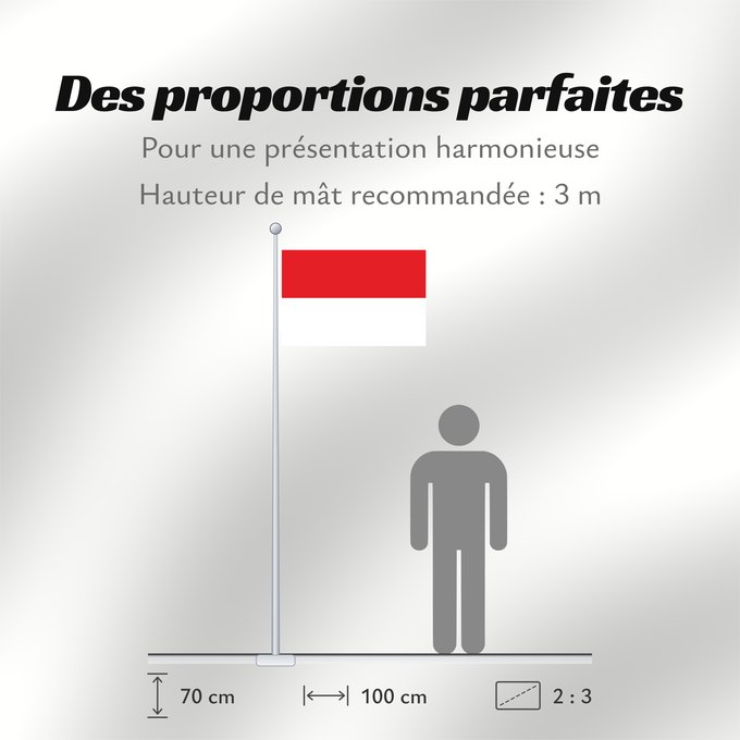 Proportions du drapeau : Vienna Austrian capital Vienna Vienne Wien Landesflagge der österreichischen Bundeshauptstadt Wien§ 3 des Gesetzes über die Symbole der Bundeshauptstadt Wien legt fest Die Farben der Bundeshauptstadt Wien sind rot-weiß