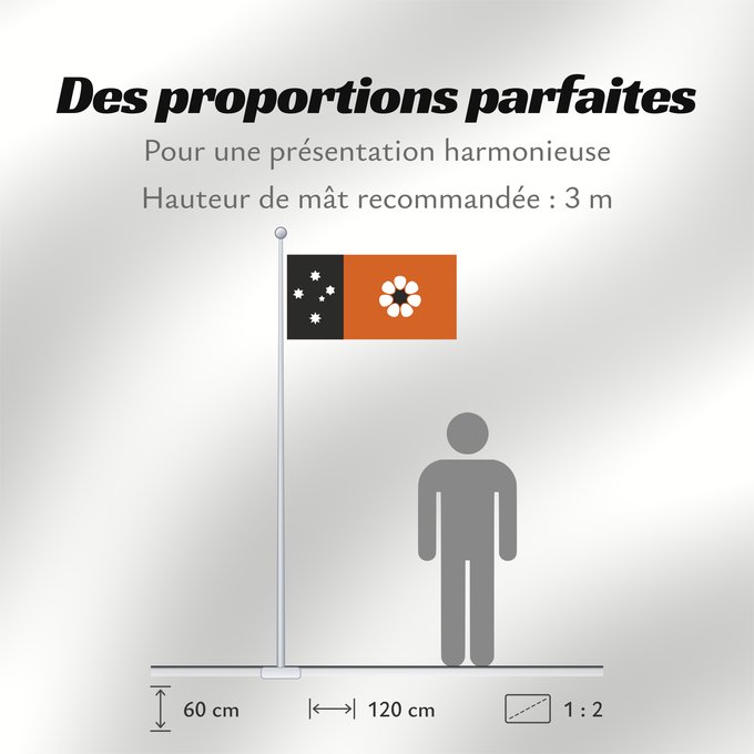 Proportions du drapeau : Northern Territory	Northern Territory  adopted on July 1, 1978 on the first day of self-government  was designed by the Australian artist Robert Ingpen	Territoire du Nord	Territorio del Norte