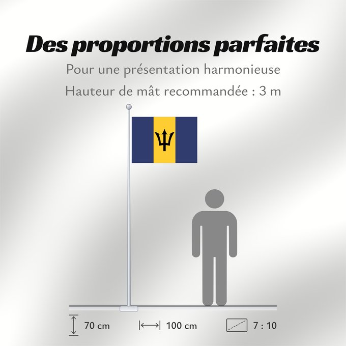 Proportions du drapeau : Barbados	Barbade	Barbado	Barbadoksen	Ala Barbadosê	Флаг Барбадоса	Barbadosa