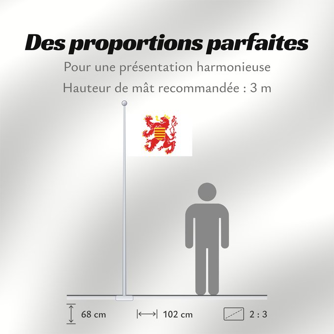 Proportions du drapeau : Limburg (nl)