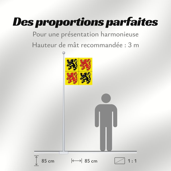 Proportions du drapeau : Hainaut Hainaut, province de la Belgique Henao Hennegaus, belgische Provinz Henegouwen, provincie van België