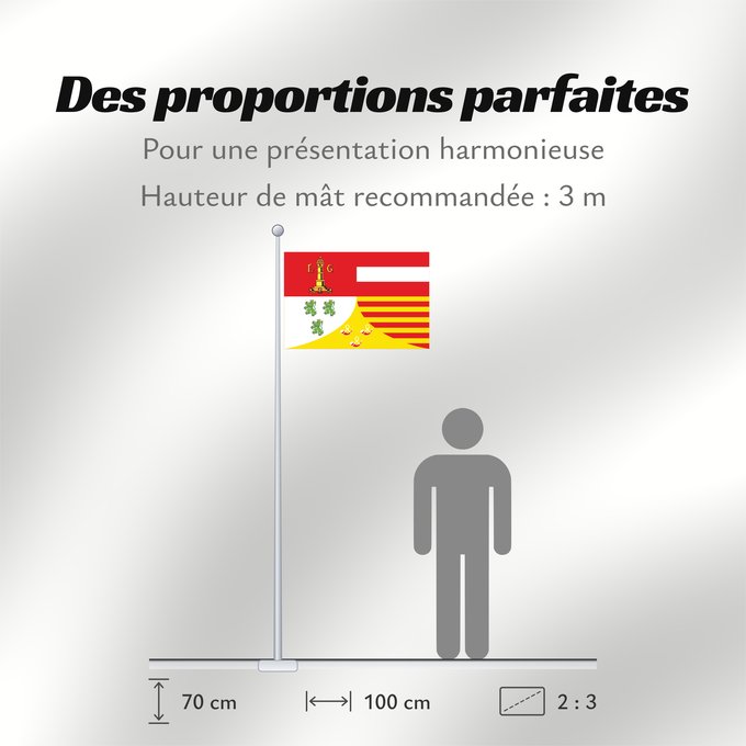 Proportions du drapeau : Liège (fr)