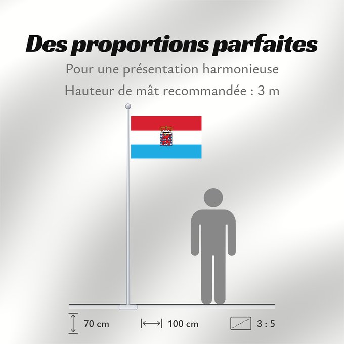 Proportions du drapeau : Province of Luxembourg Belgium This W3C-unspecified vector image was created with Adobe Illustrator Un drapeau non-officiel de la province de Luxembourg Belgique Luxemburgo (BE) Luxemburg (Belgien) Lussemburgo (BE)