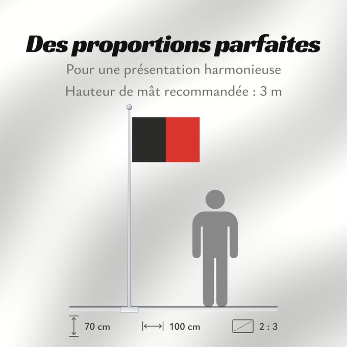 Proportions du drapeau : Namur Province	Namur	Shows the flag of the province of Namur in Belgium