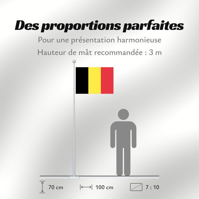 Proportions du drapeau : Belgium civil The civil ensign and flag of Belgium Belgique Bélgica Belgien Belgio België in de verhouding 2 3, gebruikt als civiele vlag en de facto nationale vlag Belgii Belgiens Civilna zastava Belgije Флаг Бельгии