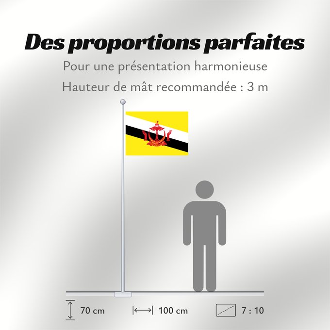 Proportions du drapeau : Brunei Brunei Darussalam Brunéi علم بروناي Bruneis Brunein 브루나이의 국기 Bruney Brunei / بنديرا بروني ဘရူနိုင်းနိုင်ငံ၏ အလံတော် Флаг Брунея Bruneja புரூணை கொடி ธงชาติบรูไนดารุสซาลาม Watawat Brunay Cờ Brunei 文莱国旗