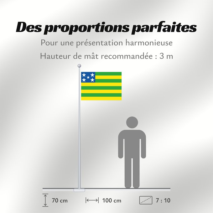 Proportions du drapeau : Goiás