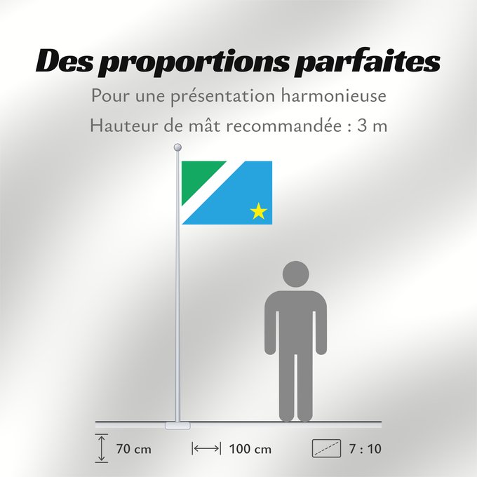 Proportions du drapeau : Mato Grosso do Sul Mato Grosso do Sul, Brazil Mato Grosso del Sur