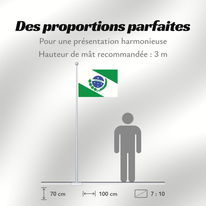 Proportions du drapeau : Paraná