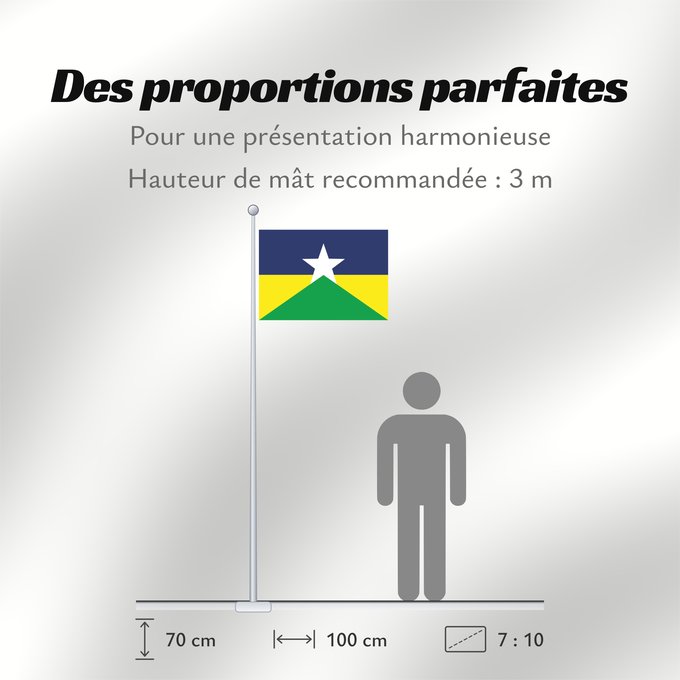 Proportions du drapeau : Rondônia