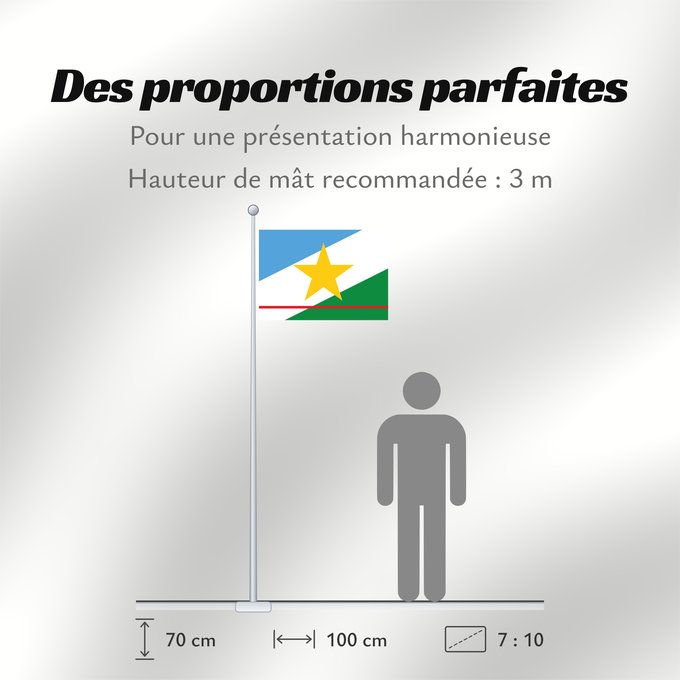 Proportions du drapeau : Roraima