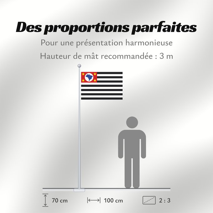 Proportions du drapeau : São Paulo Sao Paulo São Paulo, Brasil