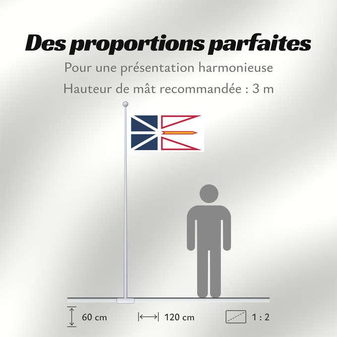Proportions du drapeau : Newfoundland and Labrador	Terre-Neuve-et-Labrador	Terranova y Labrador	Neufundland und Labrador	Terranova	Banniel Douar-Nevez ha Labrador