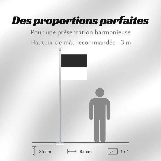 Proportions du drapeau : Canton of Fribourg Fribourg Kanton Freiburg