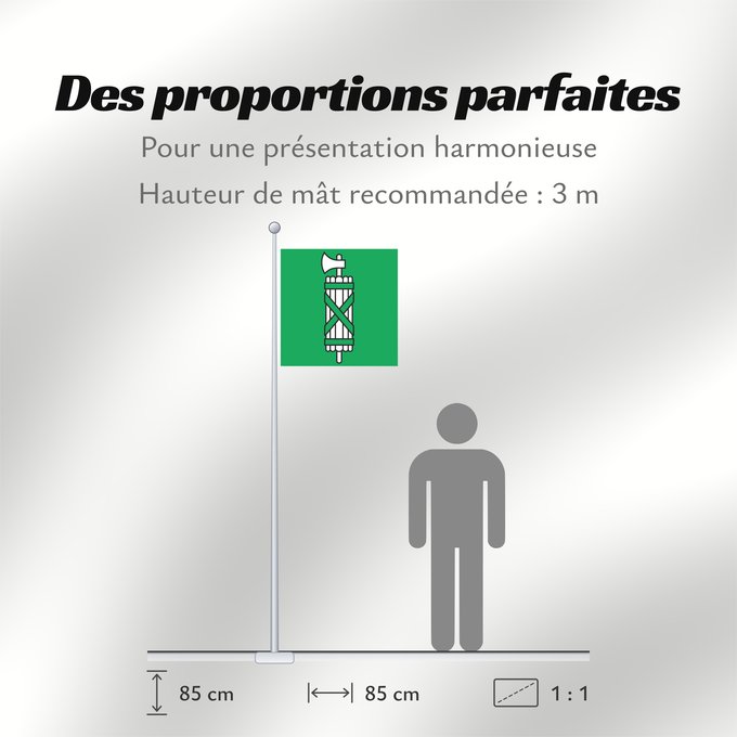 Proportions du drapeau : Canton of Sankt Gallen	Canton of St. Gallen	Saint-Gall	San Galo o San Gall	St. Gallen 	St. Gallen	Canton of Sankt Gallen  Saint Gallen