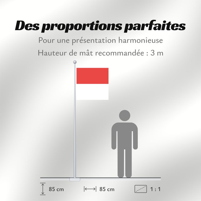 Proportions du drapeau : Canton of Solothurn Canton of Solothurn Switzerland Soleure cantón de Soleura Kanton Solothurn Soletta Kanton Solothurn Swiss