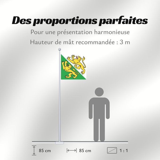 Proportions du drapeau : Canton of Thurgau Thurgau canton de Thurgovie cantón de Turgovia Canton of Thurgau in Switzerland
