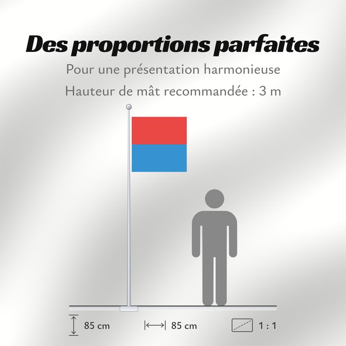 Proportions du drapeau : Canton of Tessin Canton Ticino or Ticino canton du Tessin Cantón del Tesino Ticino Canton of Tessin Switzerland