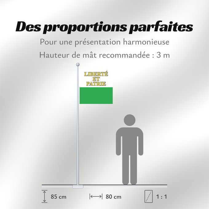 Proportions du drapeau : Canton of Vaud Vaud canton de Vaud República y cantón de Vaud Vaud
