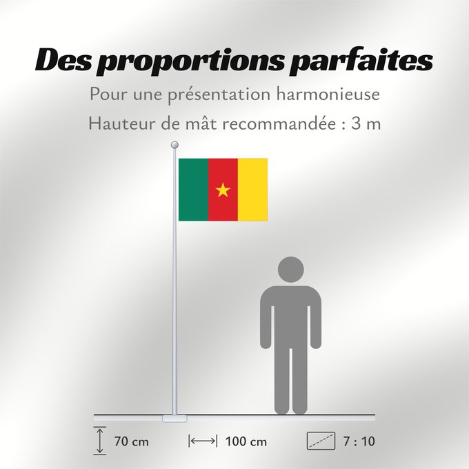 Proportions du drapeau : Cameroon Cameroun Camerún Kamerun Camerun ক্যামেরুনের পতাকা। Kamerunu Kameruno پرچم کامرون Fändel vum Kamerun Знаме на Камерун Camerunului Kameruna Kameruns