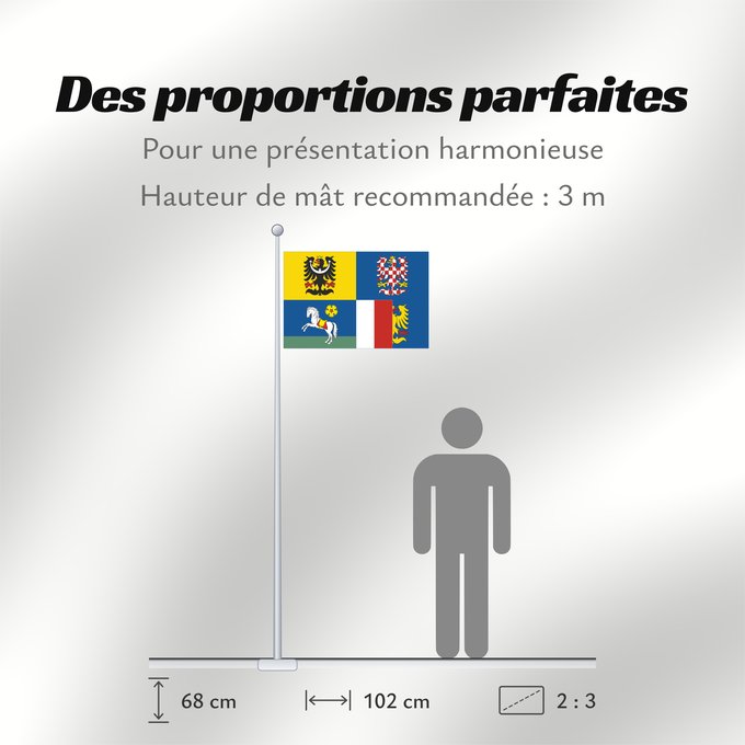 Proportions du drapeau : Moravian-Silesian Region	Région de Moravie-Silésie	Región de Moravia-Silesia	Moravian-Silesian	Moravskoslezského kraje čtvrcený list v horním žerďovém žlutém poli slezská orlice v dolním žerďovém modrém poli na zeleném trávníku