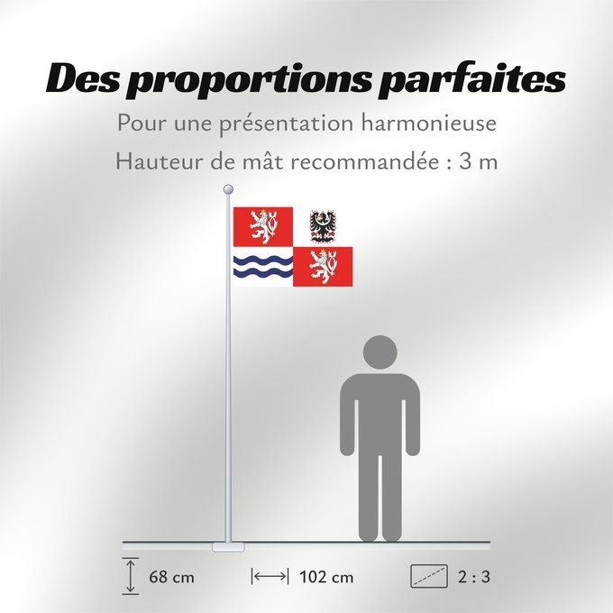 Proportions du drapeau : Central Bohemian Region Région de Bohême centrale Región de Bohemia Central Mittelböhmische Region