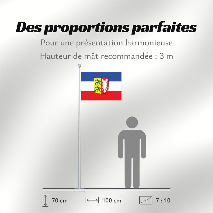 Proportions du drapeau : Schleswig-Holstein
